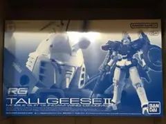 2026年最新】トールギス2 rgの人気アイテム - メルカリ