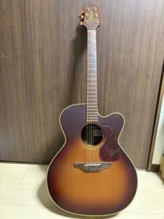 2026年最新】Takamine NPT-012BSの人気アイテム - メルカリ