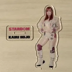 2026年最新】宝城カイリの人気アイテム - メルカリ