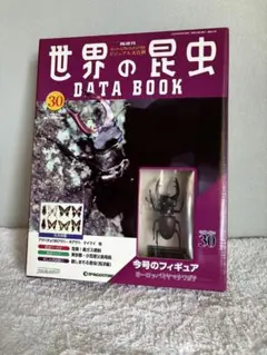 2026年最新】ミヤマクワガタ 標本の人気アイテム - メルカリ