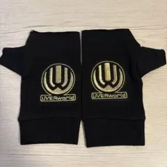 2026年最新】UverWORLD グローブ 初代の人気アイテム - メルカリ