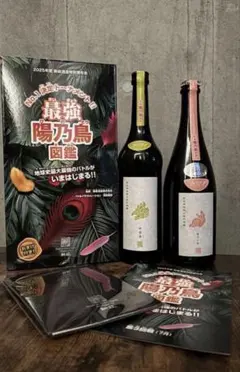 2026年最新】新政 頒布会の人気アイテム - メルカリ