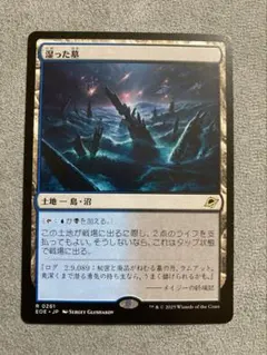 2026年最新】湿った墓の人気アイテム - メルカリ