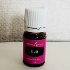 2026年最新】ワイエルジョイの人気アイテム - メルカリ