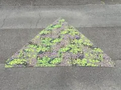 2026年最新】ツェルトバーンの人気アイテム - メルカリ