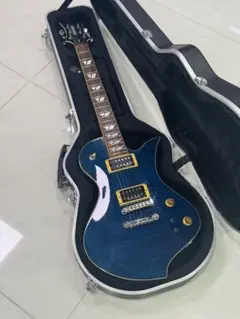 2026年最新】サスティナー fernandesの人気アイテム - メルカリ