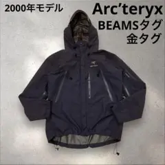 2026年最新】アークテリクス シータarの人気アイテム - メルカリ