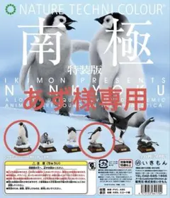 2026年最新】ネイチャーテクニカラー 南極の人気アイテム - メルカリ