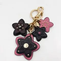 2026年最新】コーチ ティーローズ キーホルダーの人気アイテム - メルカリ