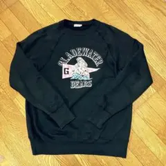 2026年最新】ウェアハウス スウェット 44の人気アイテム - メルカリ