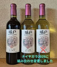 2026年最新】城戸ワイン 2024の人気アイテム - メルカリ