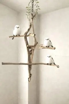 2026年最新】バードアスレチックの人気アイテム - メルカリ