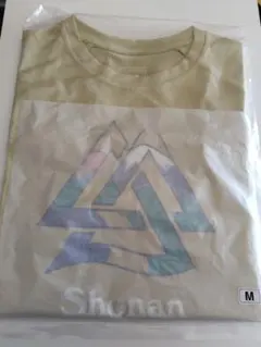 2026年最新】湘南国際マラソン参加賞の人気アイテム - メルカリ