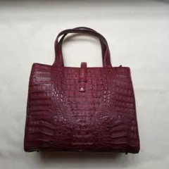 2026年最新】ロダニア クロコダイルバッグの人気アイテム - メルカリ