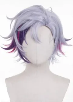 2026年最新】不破湊ウィッグの人気アイテム - メルカリ