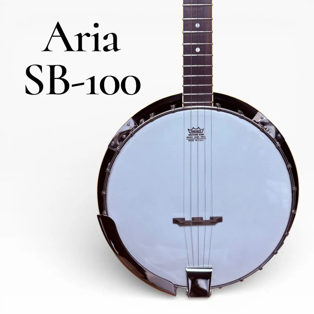 2026年最新】5弦バンジョーの人気アイテム - メルカリ