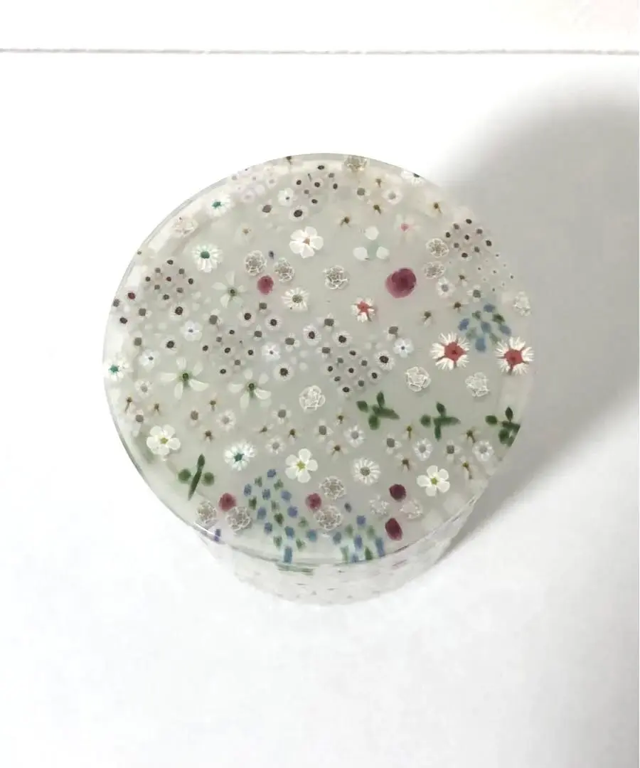 2026年最新】江波冨士子の人気アイテム - メルカリ