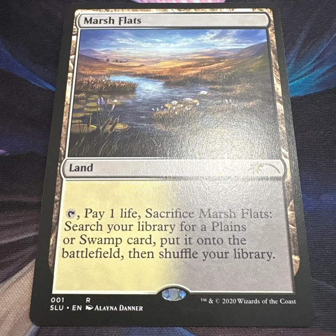 2026年最新】湿地の干潟/marsh flatsの人気アイテム - メルカリ