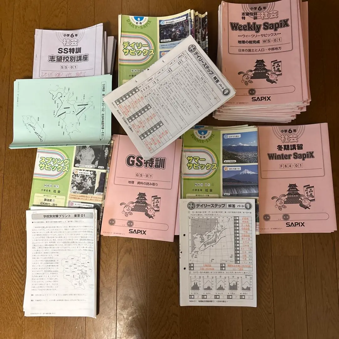 2026年最新】サピックス 社会 知識の総完成の人気アイテム - メルカリ