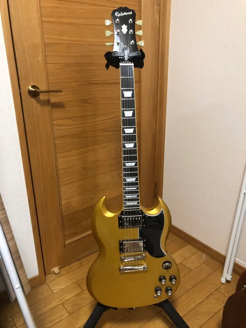 2026年最新】epiphone sg proの人気アイテム - メルカリ