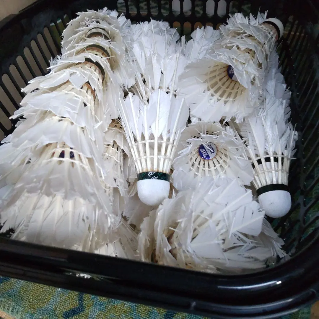 2026年最新】バドミントン シャトル rslの人気アイテム - メルカリ