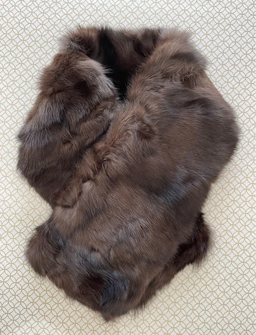 2026年最新】ロシアンセーブル sobolの人気アイテム - メルカリ