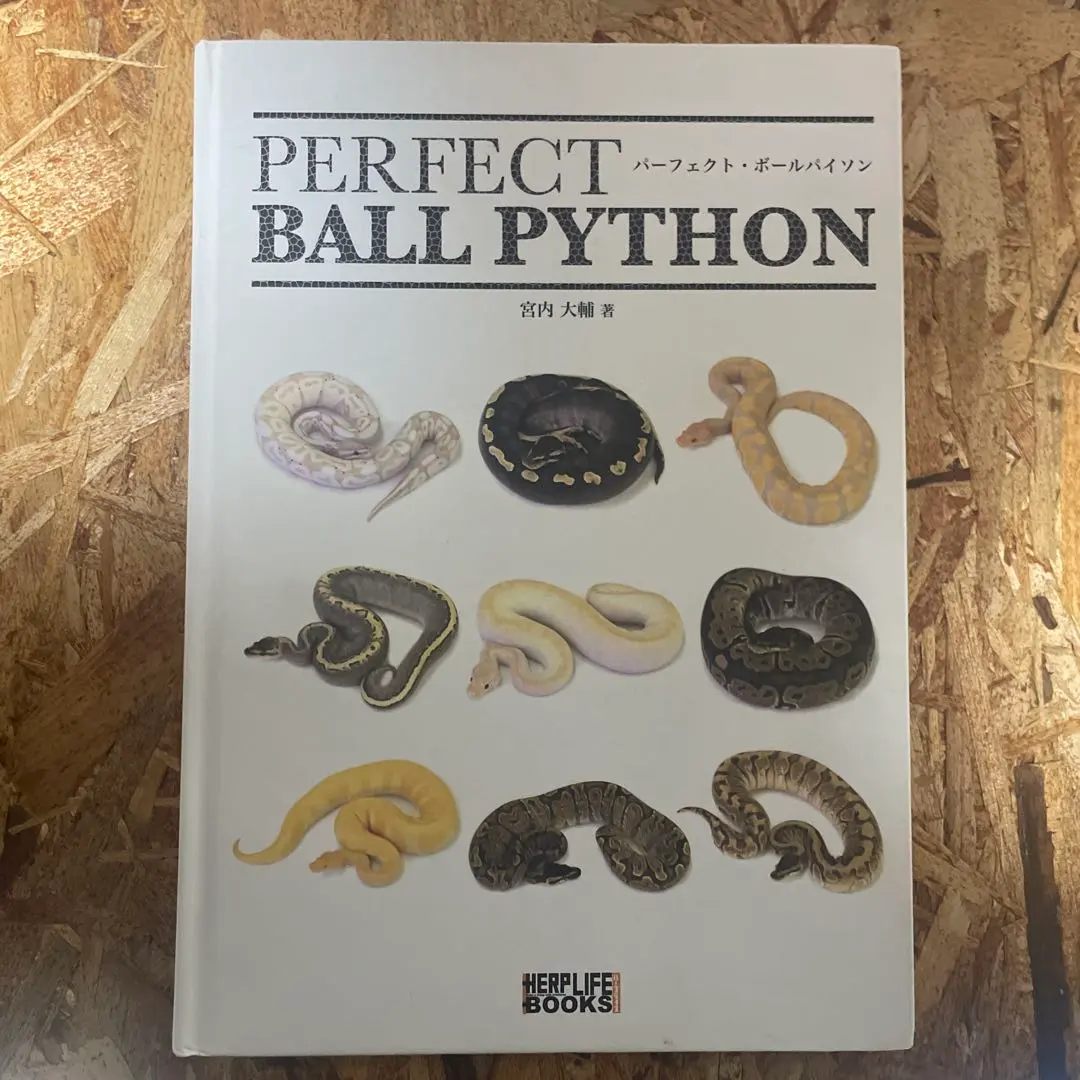 2026年最新】パーフェクトボールパイソンの人気アイテム - メルカリ