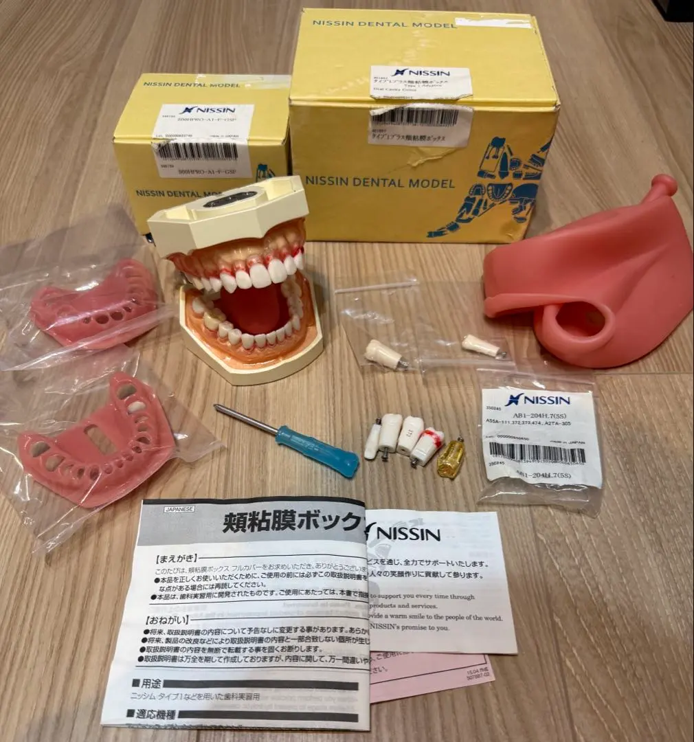 2026年最新】顎模型 歯科衛生士の人気アイテム - メルカリ