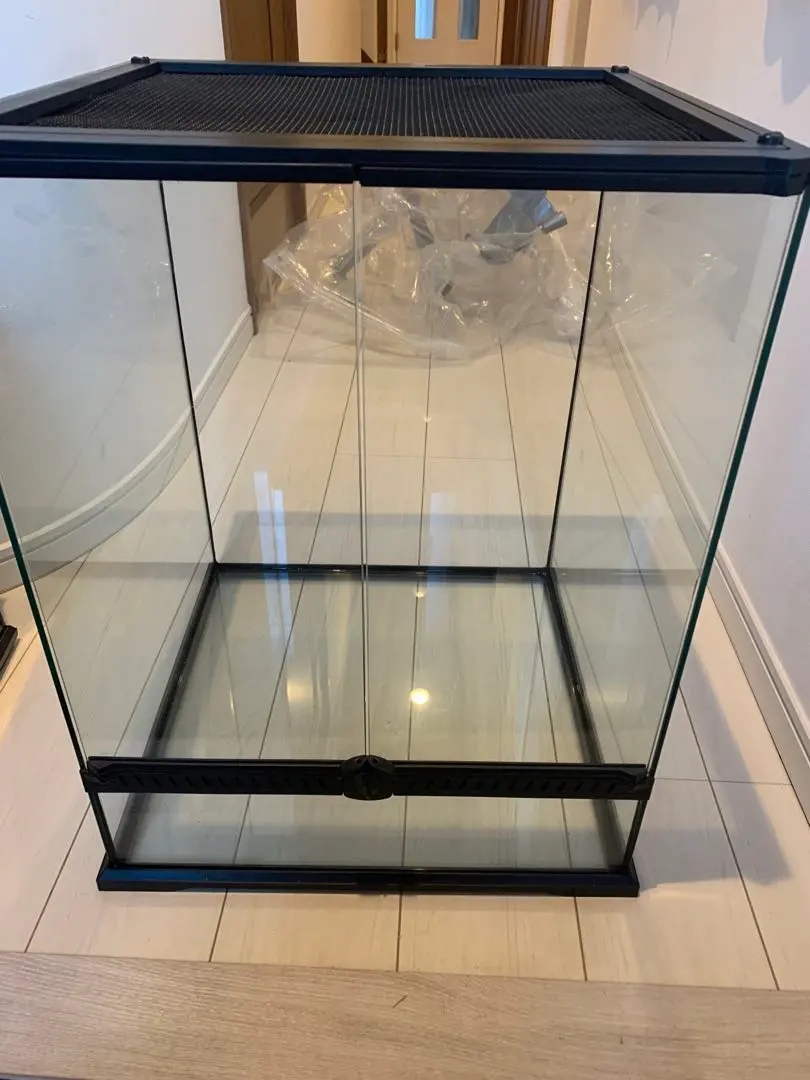 2026年最新】レインフォレストタンクの人気アイテム - メルカリ