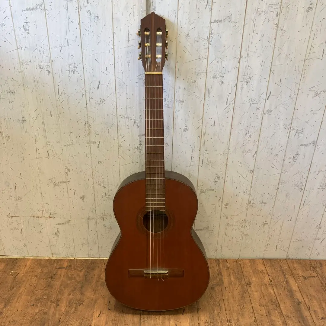 2026年最新】SHINANO ギターの人気アイテム - メルカリ