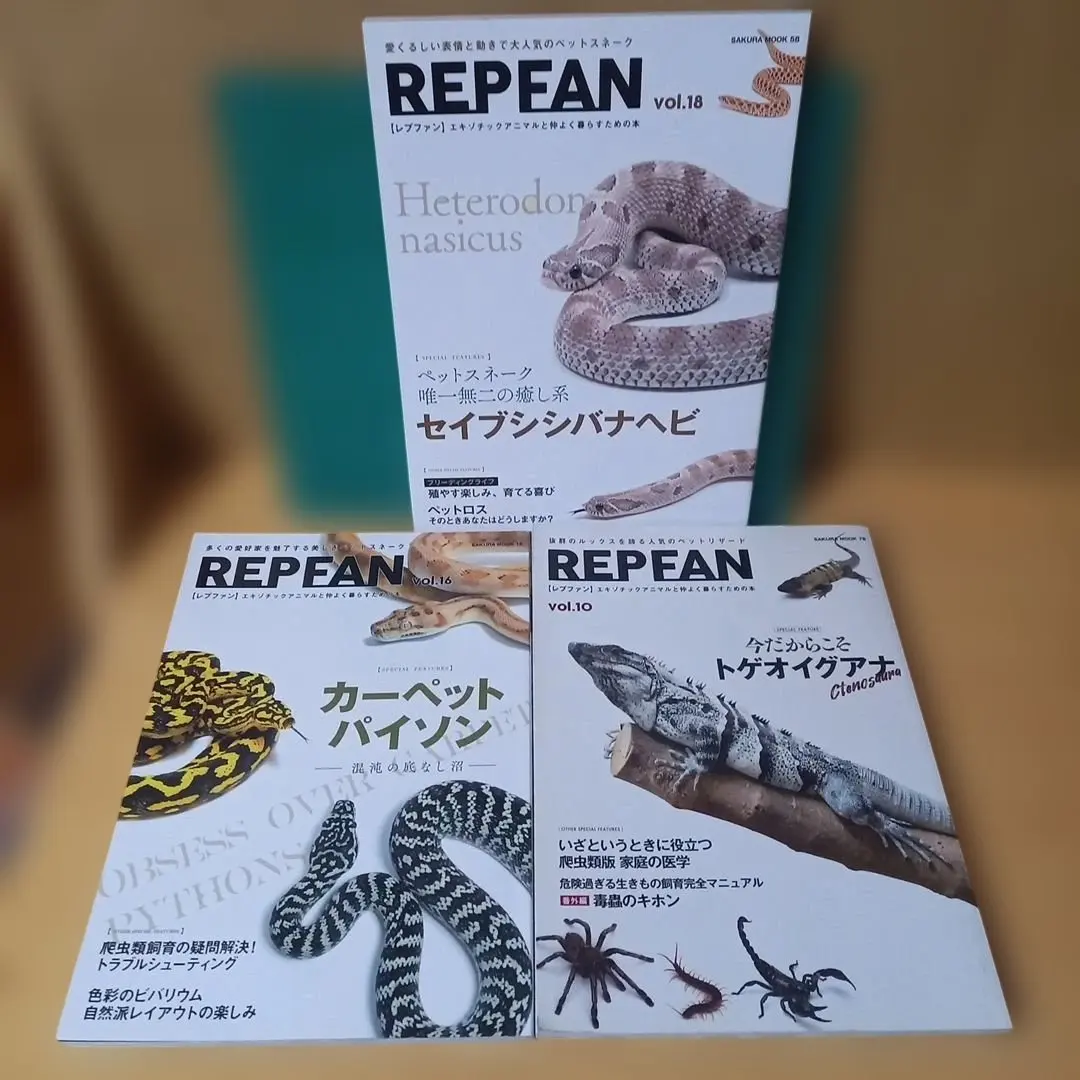 2026年最新】レプファンの人気アイテム - メルカリ