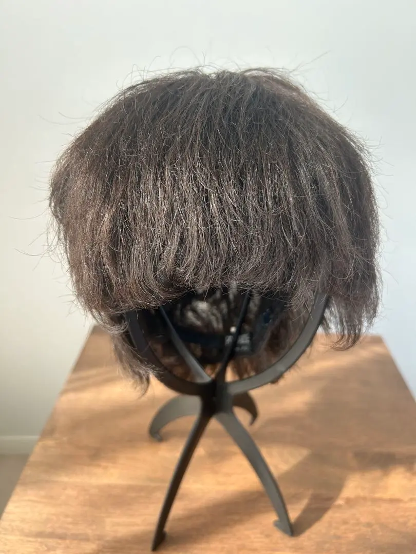 2026年最新】医療用ウィッグ フォンテーヌの人気アイテム - メルカリ