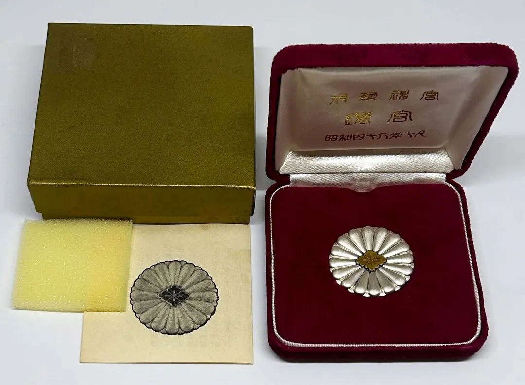 m53638349673_1.jpg?1763473407