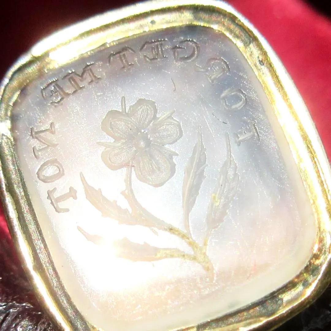 2026年最新】フォブシールの人気アイテム - メルカリ