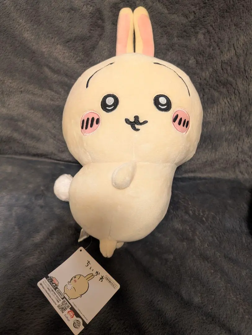 m63991454297_1.jpg?1772538598