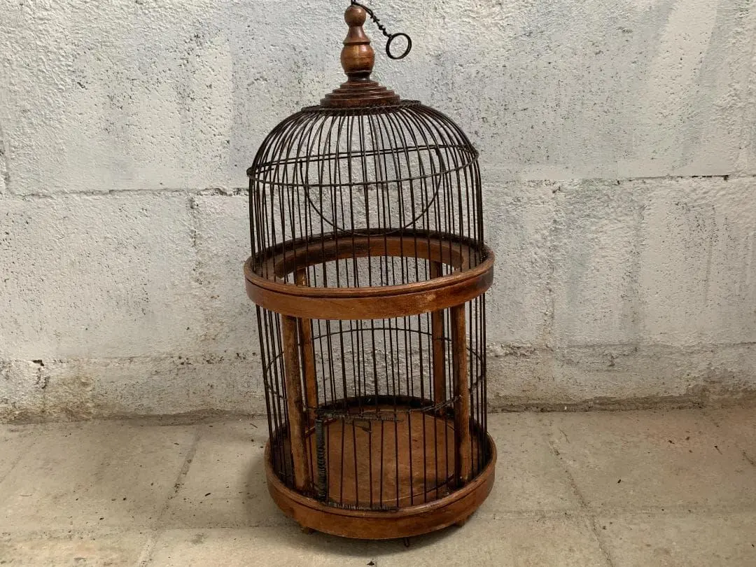 2026年最新】krank marcelloの人気アイテム - メルカリ