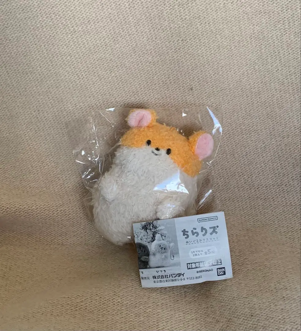 2026年最新】せこなおの人気アイテム - メルカリ