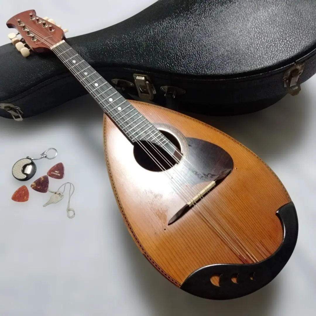 2026年最新】SUZUKI マンドリン m-210の人気アイテム - メルカリ