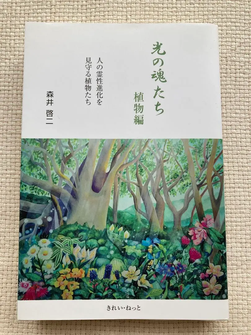 2026年最新】光の魂たち_植物編の人気アイテム - メルカリ