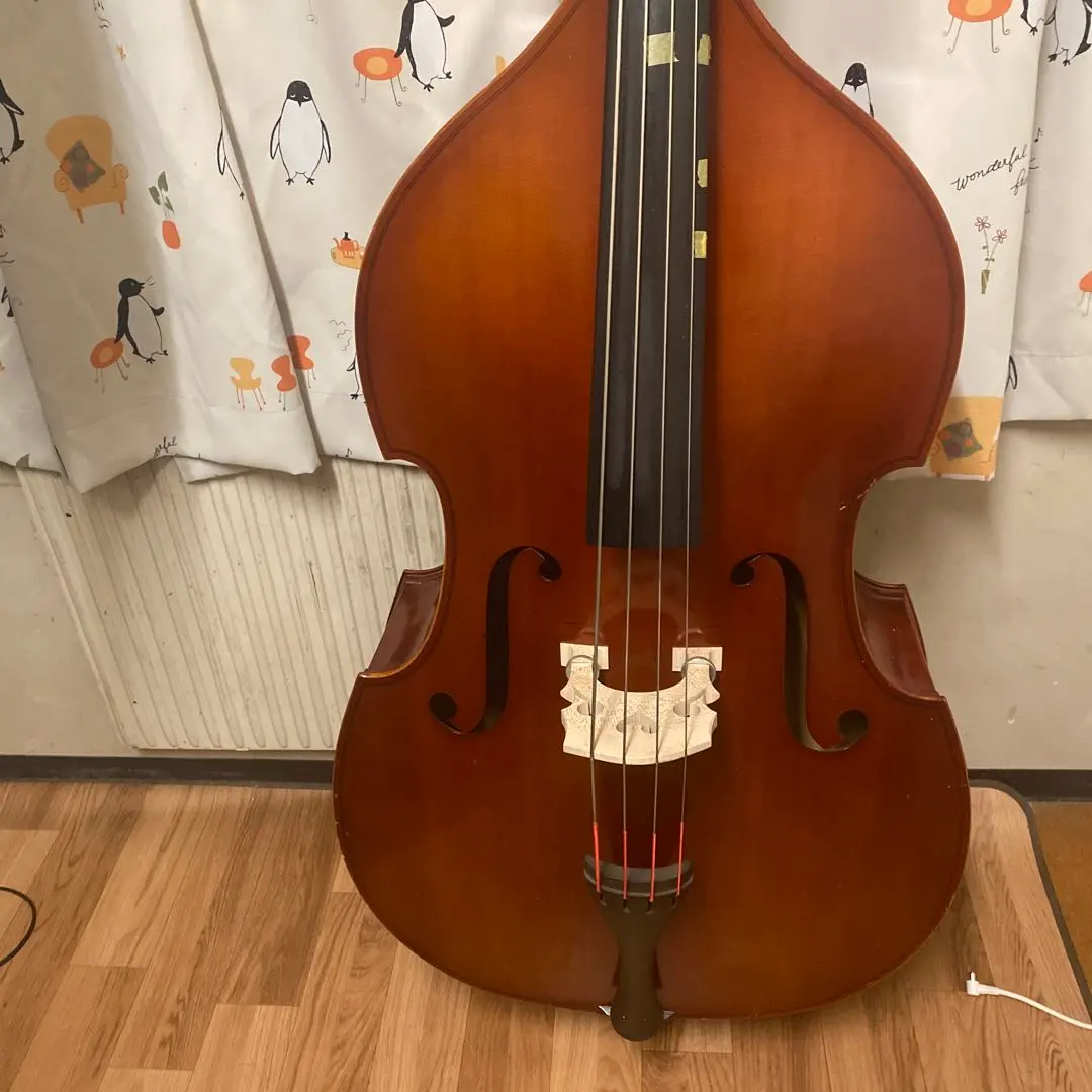 2026年最新】スズキ コントラバスの人気アイテム - メルカリ
