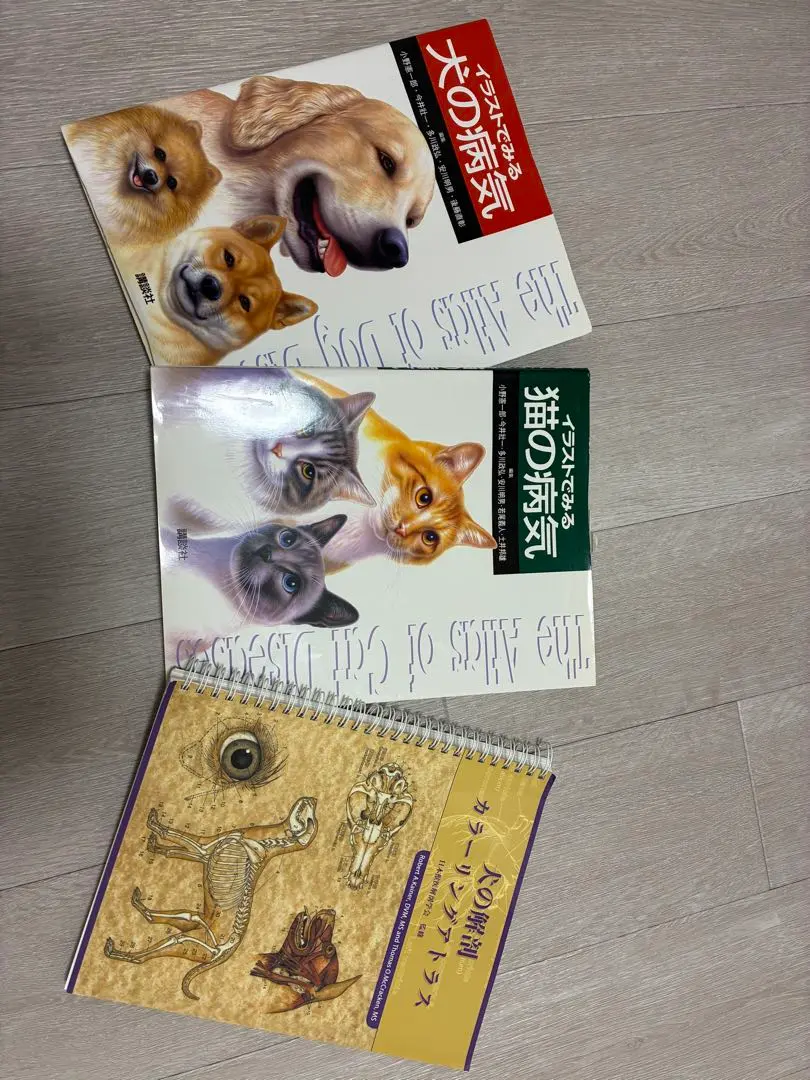 2026年最新】犬と猫の治療ガイドの人気アイテム - メルカリ