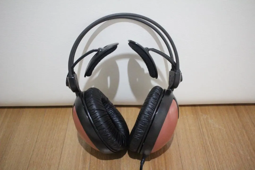 2026年最新】傳田聴覚の人気アイテム - メルカリ