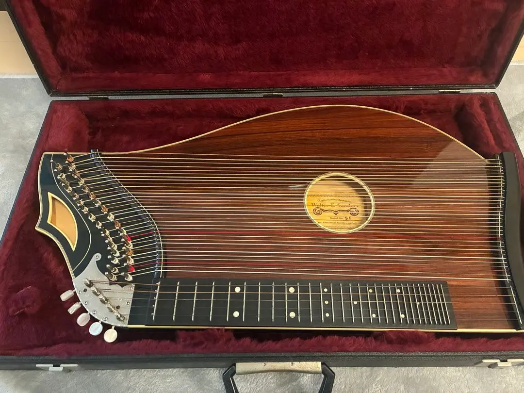 2026年最新】チター 楽器の人気アイテム - メルカリ