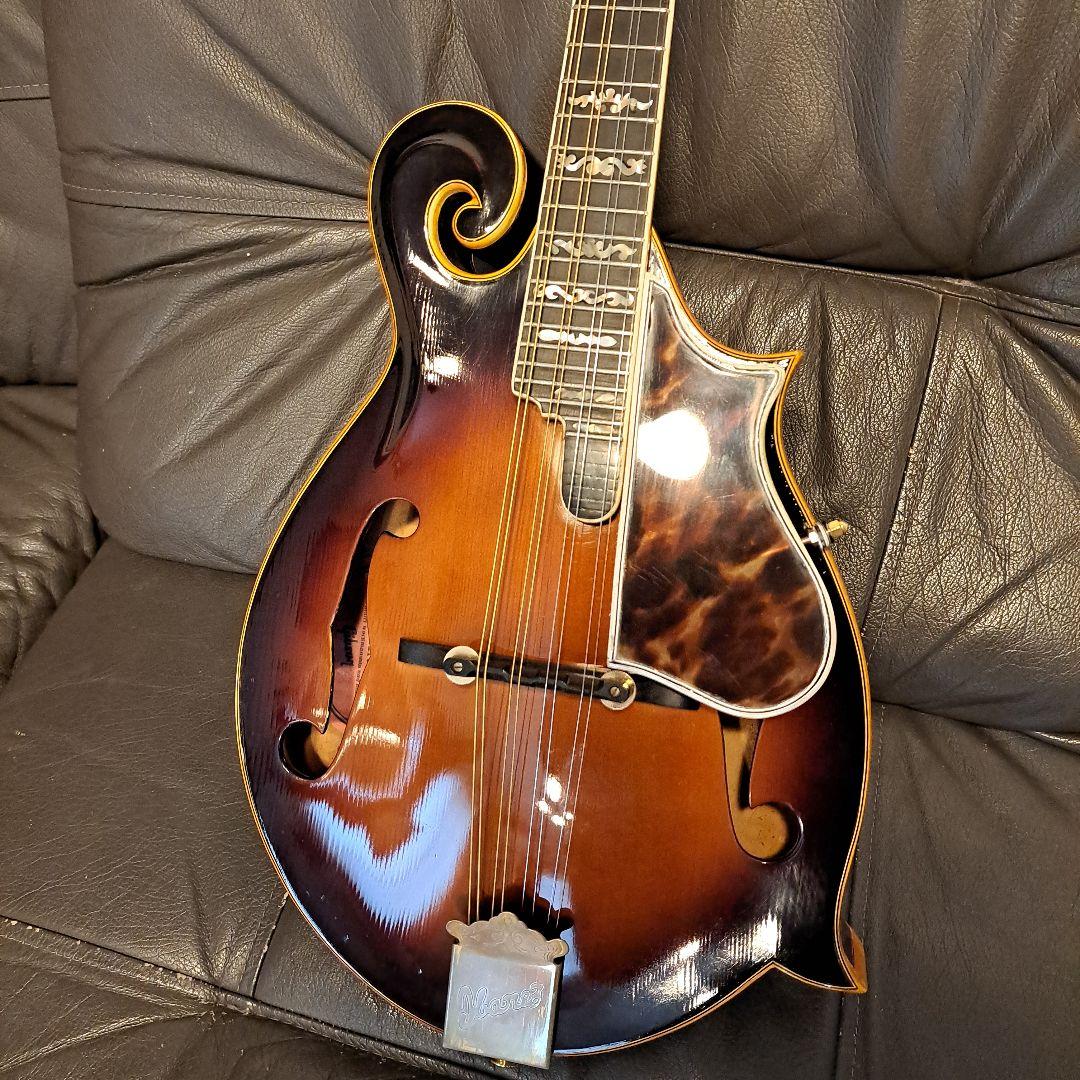 希少！アイバニーズヴィンテージフラットマンドリン！ - メルカリ