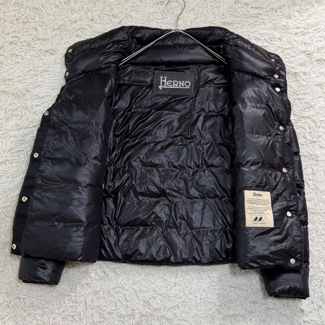 17530✨ヘルノ モノグラム ウルトラライトダウンジャケット 38
