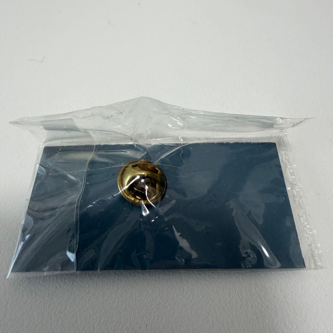 匿名配送料込☆1998年冬季長野オリンピック ピンバッジ 長野