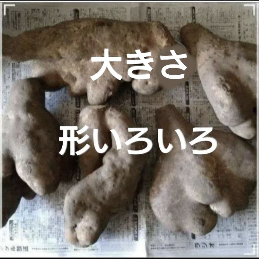 りんりん様専用ページ④ですm(__)m - メルカリ