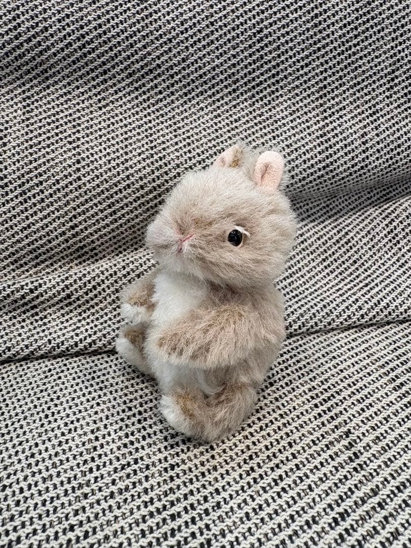 こうさぎ　テディベア 次のこうさぎテディベアはネザーランドドワーフっぽいオレンジちゃん
