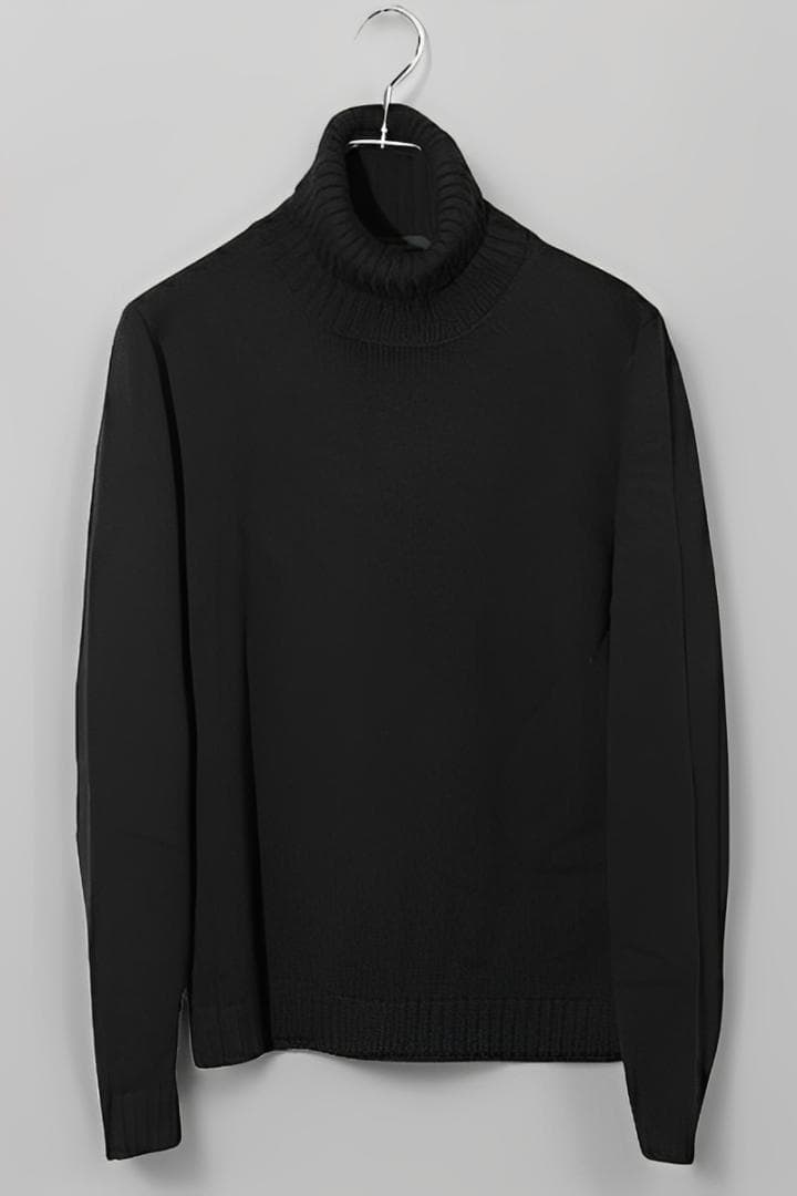 ZANONE ザノーネ 5ゲージ ウールソリッド タートルネック ニット 48 ZANONE（ザノーネ）5ゲージウールソリッドタートルネックニット DV