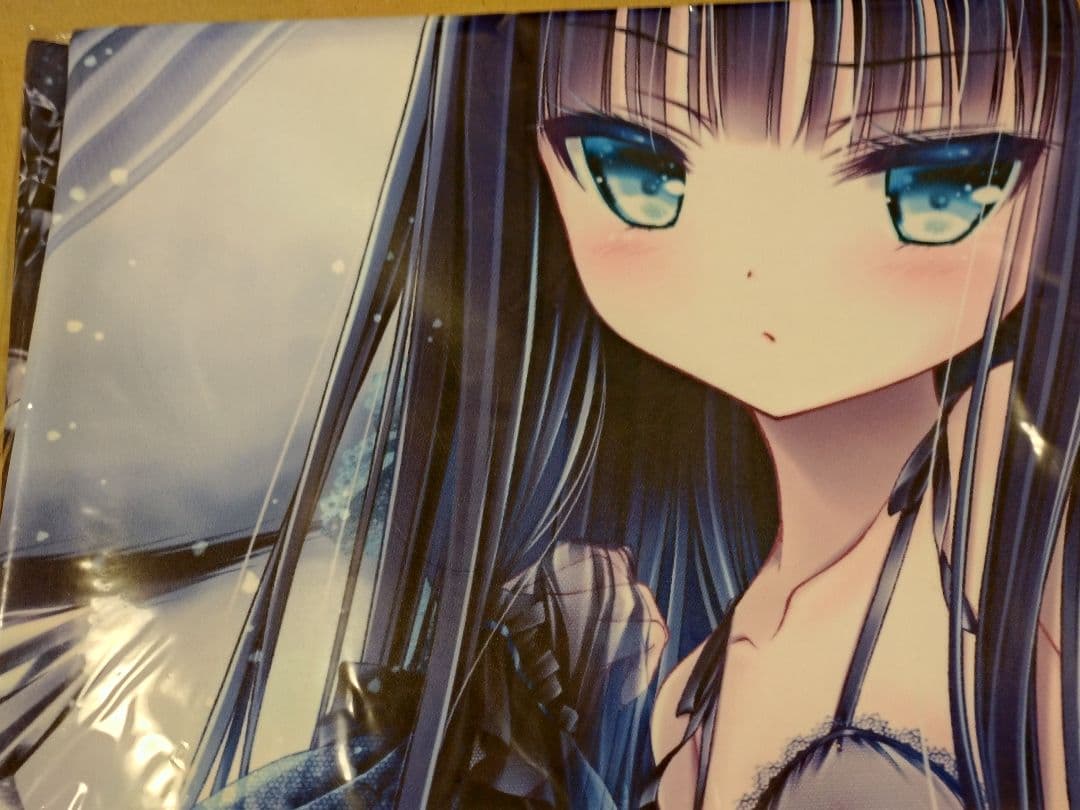 【てぃんくる】布ポスター・BLU CIELO-NEROEDIZIONE てぃんくる】布ポスター・BLU CIELO-NEROEDIZIONE - メルカリ